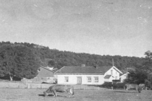 Bilde av Vestre Ormestad